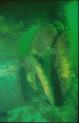 Wreck propeller underwater